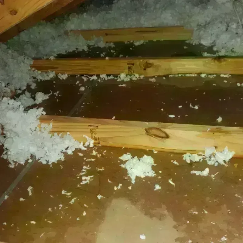 Attic Water Damage in Sun City Center, FL