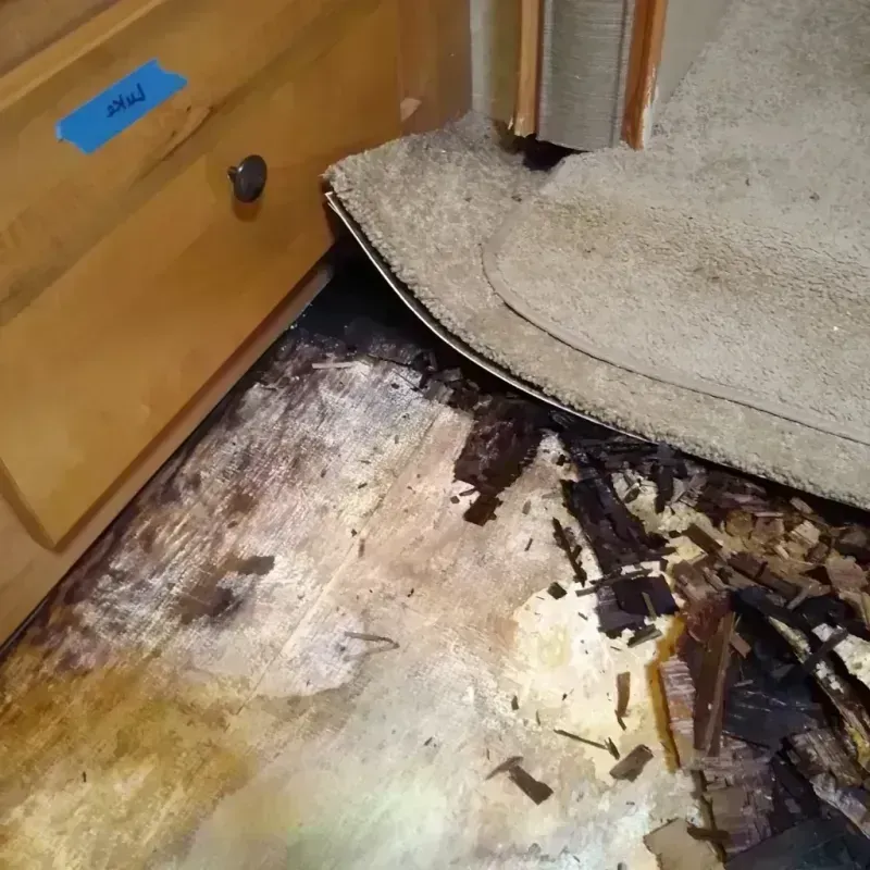 Wood Floor Water Damage in Sun City Center, FL